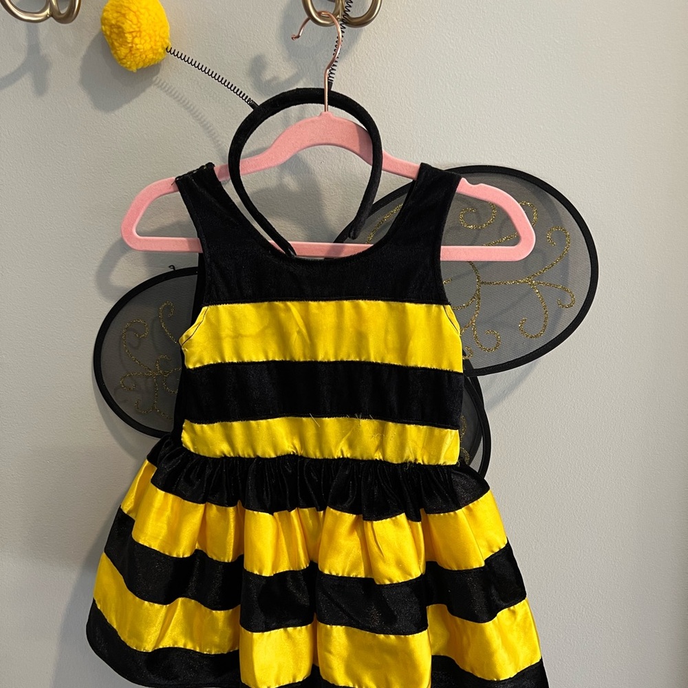 Yellow and Black Striped Bee Costume
